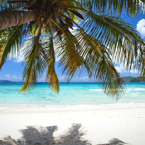 Tortola Beach Day