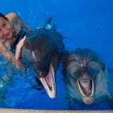 Dolphin Discovery Encounter