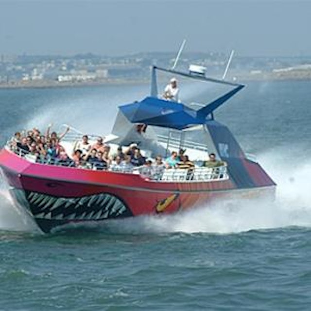Codzilla Thrill-Boat Ride image 1