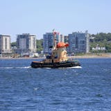 The Theodore Tugboat Experience