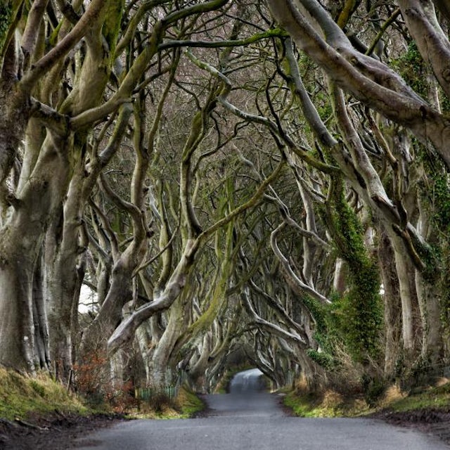 Game of Thrones Location Tour image 1
