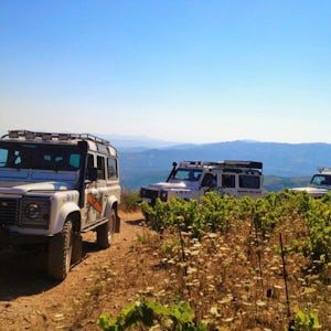 Cretan Wines Jeep Safari with Full Lunch