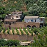 Cretan Olive Oil and Wine Tasting Jeep Safari with Lunch