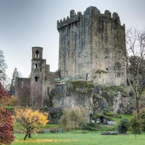 Cork City and Blarney Castle with Private Transportation