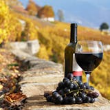 Tuscany Wine Tasting