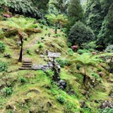 Ribeira of Caldeiroes Canyon Adventure - Half Day