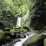 Sanguinho Nature Hike & Waterfall