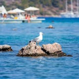 Marmaris Coastal Boat Tour