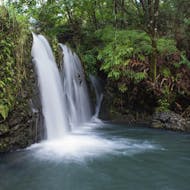 Waterfall and Rainforest Hike