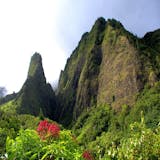 Private Tropics of Maui and Rainforest Valley