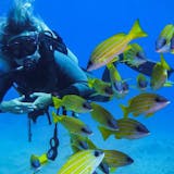 Two Tank Dive for Certified Divers