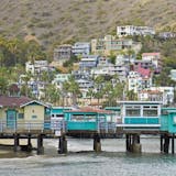 Amazing Catalina Scavenger Hunt (If renting a Golf Cart)