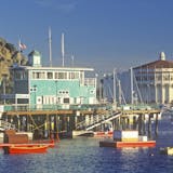 Amazing Catalina Scavenger Hunt