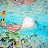 Private Lagoon Extravaganza - Half Day