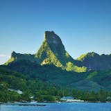 Moorea Island Safari