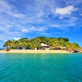 Vanuatu Exploration and Coffee