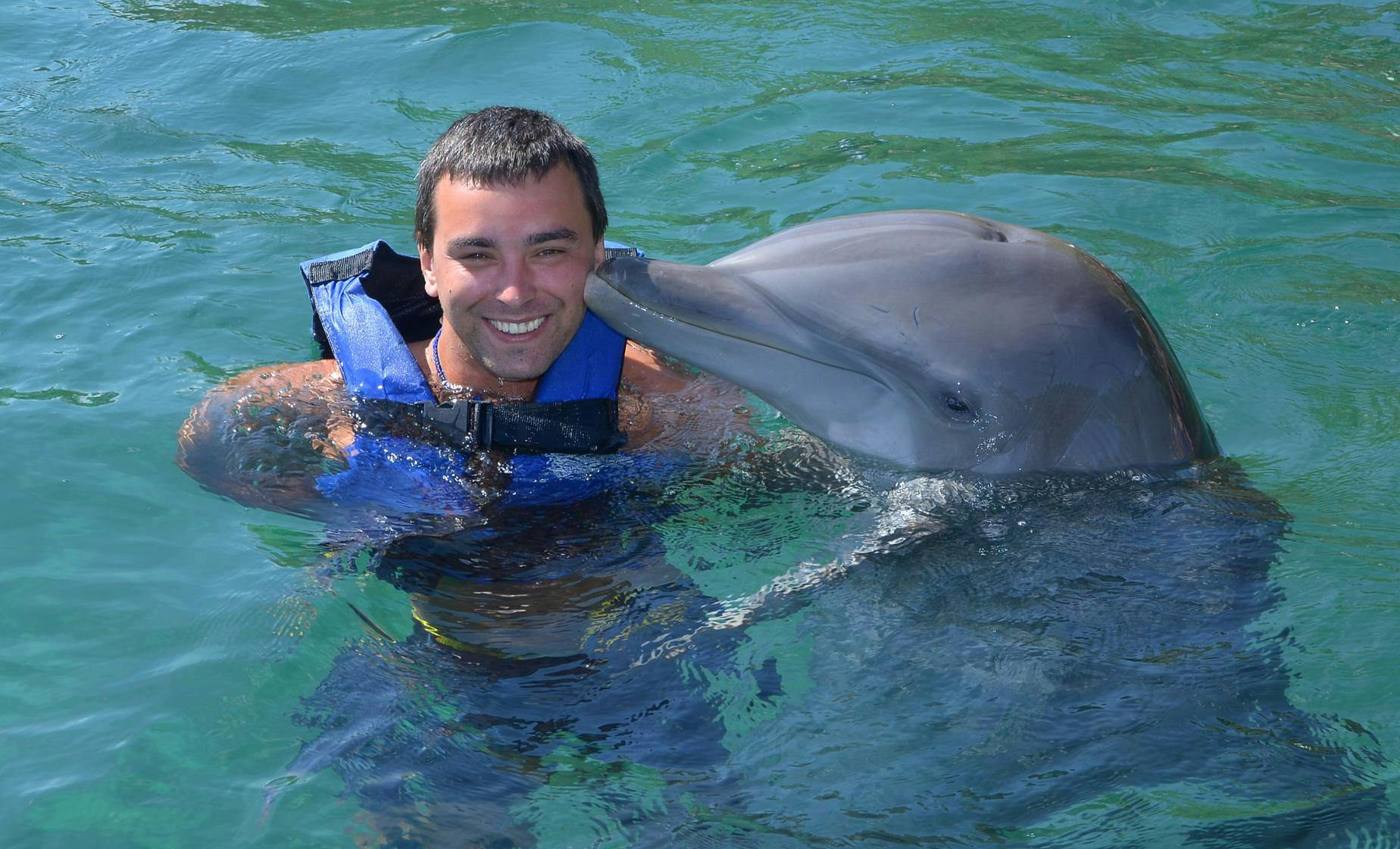 Swim with the Dolphins