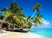Private Saona Island Eco Adventure