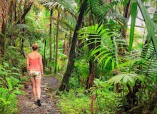 El Yunque Rainforest Hike