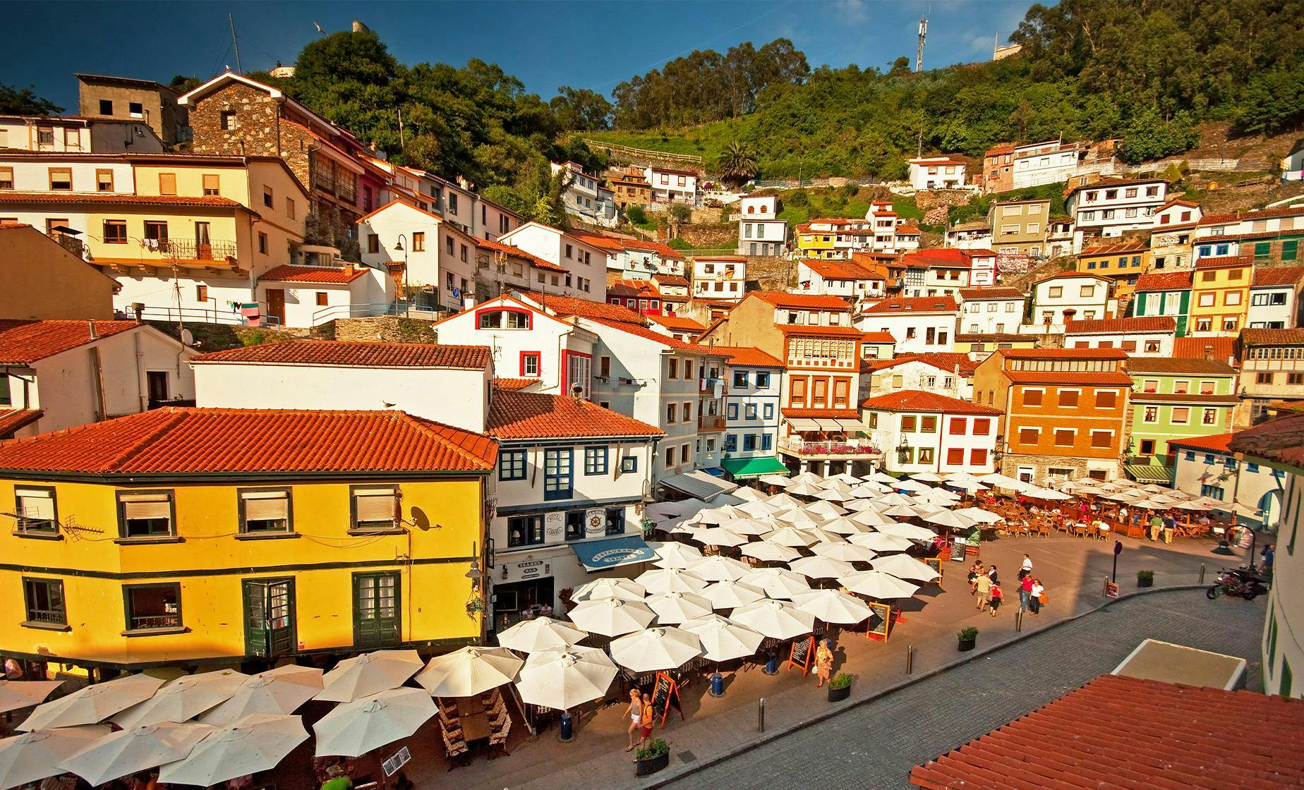 Private Nice Old Town Walk