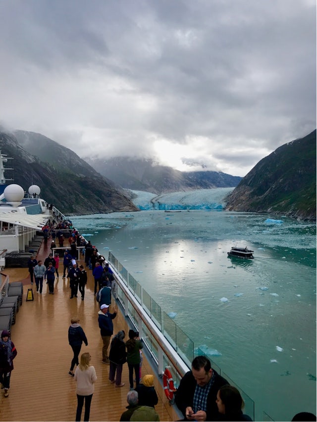 Cruise Endicott Arm & Dawes Glacier