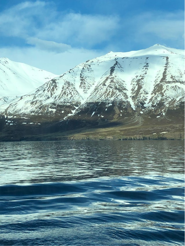 Cruise Eyjafjordur, Iceland