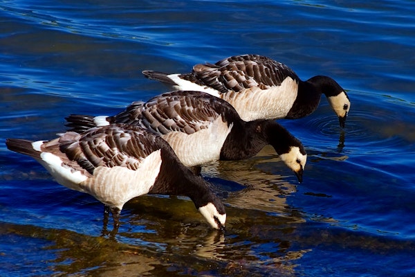 Helsinki, Finland cruise port