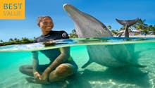 COMBO: Atlantis Aquaventure + Shallow Water Dolphin Interaction + Lunch | Adult