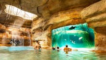 Atlantis Aquaventure | Low Season