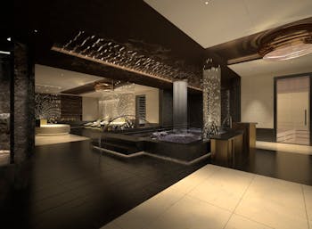 Hydrotherapy Suite Photo