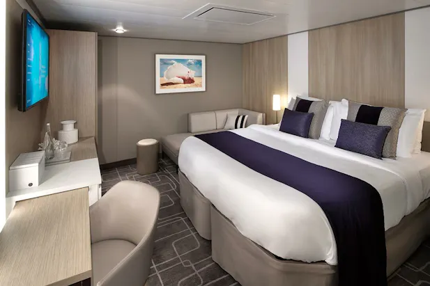 Celebrity Ascent Rooms - Cabins, Staterooms & Suites (With Photos)