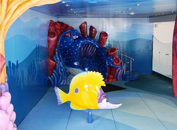 Nemo's Reef Photo