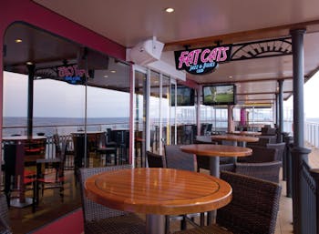 Fat Cats on the Waterfront Photo