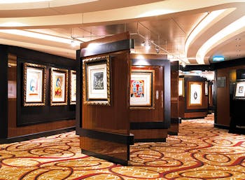 The Collection Art Gallery Photo