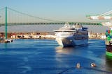 Sapphire Princess