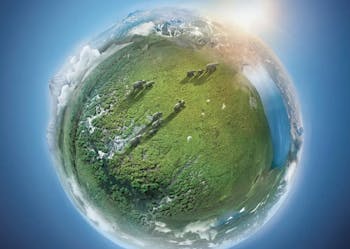 BBC Earth In Concert Photo