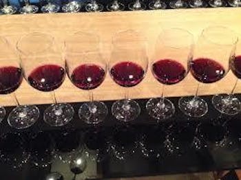 Private Wine Cellar Photo